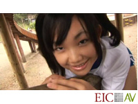 DVD moecco VOL-7 ラブリン 篠宮りん