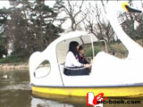 WithMe 2 堀内梨弥子