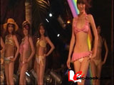 シブコレセレクション2008~in 渋谷アックス