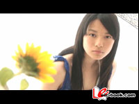 ニーハイコレクション ~絶対領域~ 山中知恵