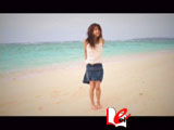 sunflower 安井真理子