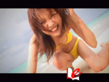 sunflower 安井真理子