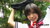 fifteen's FAIRY 柏静香
