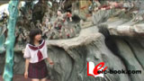 fifteen's FAIRY 柏静香