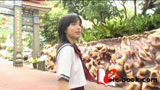 fifteen's FAIRY 柏静香