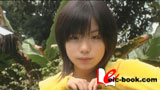 fifteen's FAIRY 柏静香