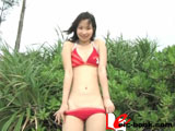 100%美少女 Vol.31 白井美貴